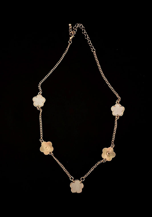 Set Lucky Gold&White - Icedout.nm